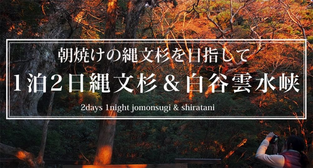 1泊2日 縄文杉&白谷ガイドツアー