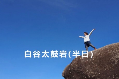 屋久島 白谷雲水峡太鼓岩(半日)ガイドツアー