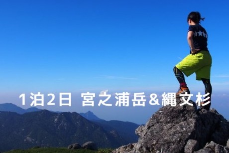 屋久島1泊2日宮之浦岳&縄文杉ガイドエコツアー